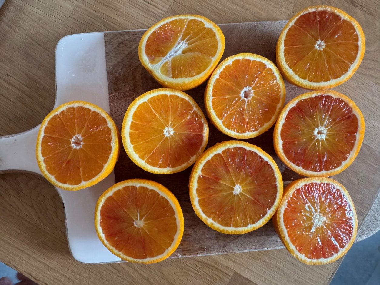 Villa Gaia - Ferienhaus Piemont - BB