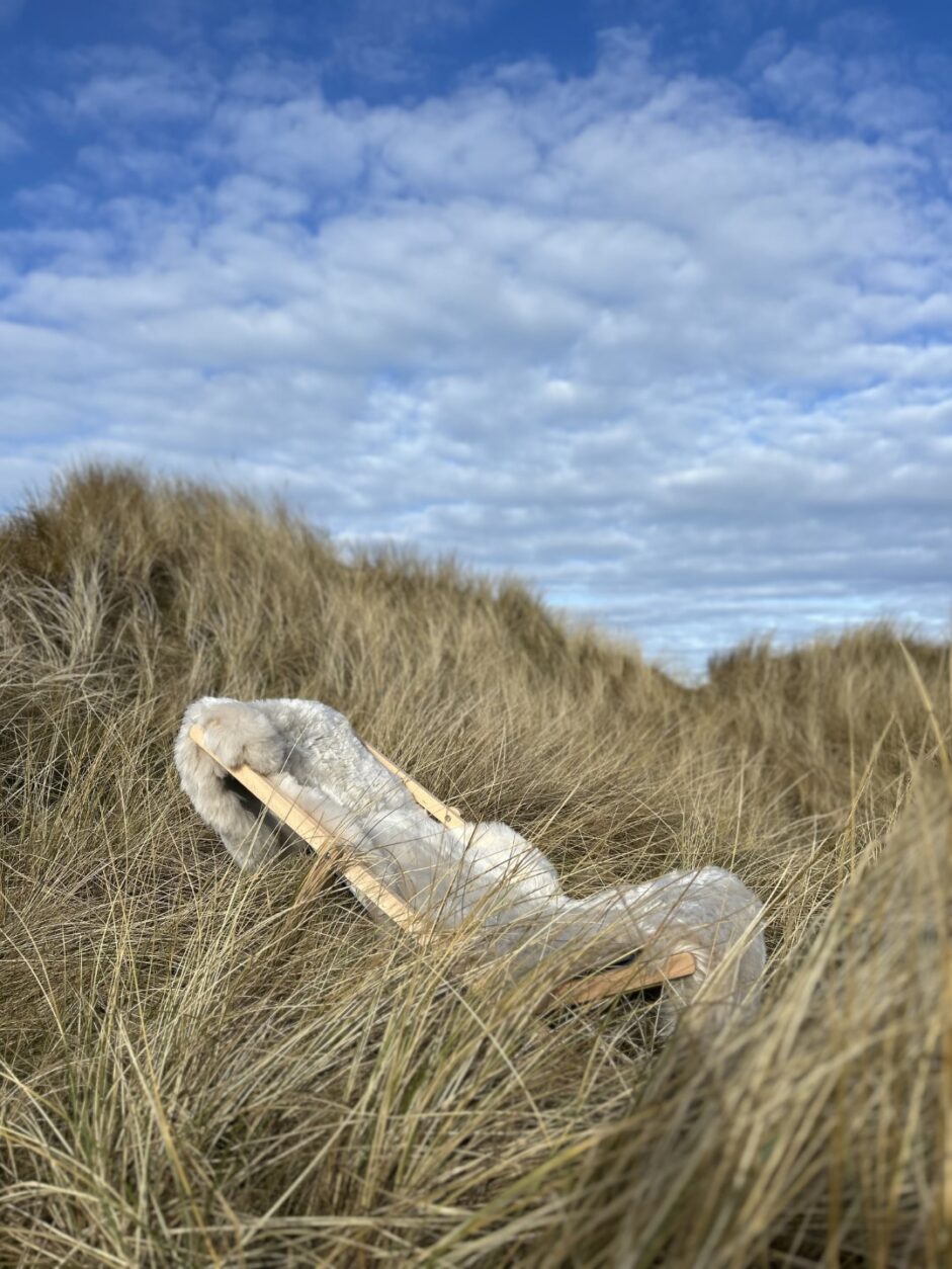 Einzigartige Ferienhäuser und Ferienwohnungen - Gastraum in Dänemark