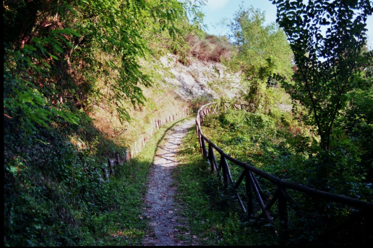 Geheimtipps im Valchiavenna - - Marmitte dei Giganti