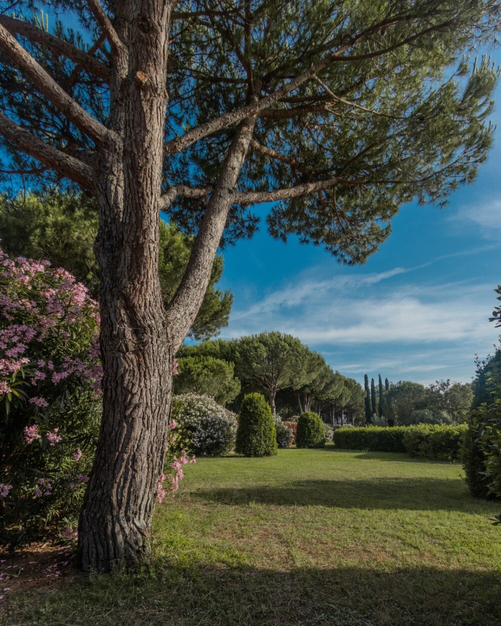 Agriturismo Toskana mit Spa - Villa Toscana