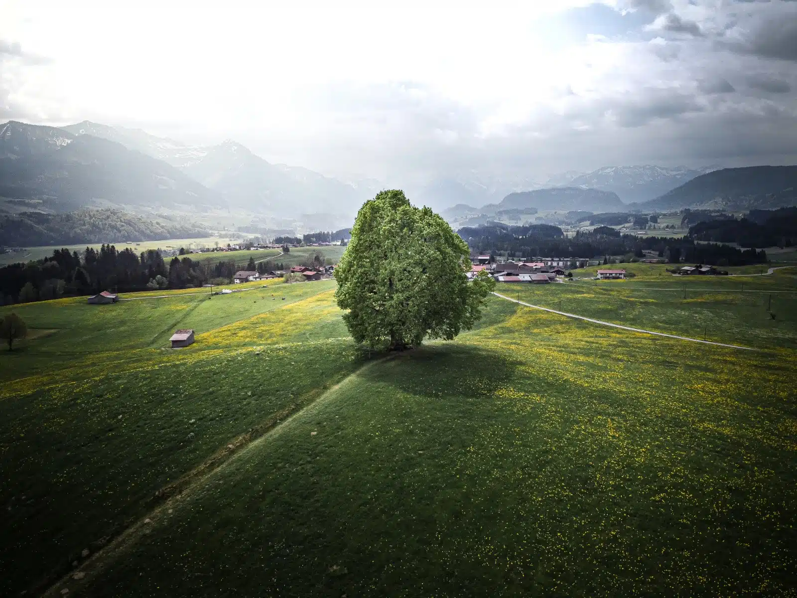 Bräuche, Events & Freizeittipps im Allgäu