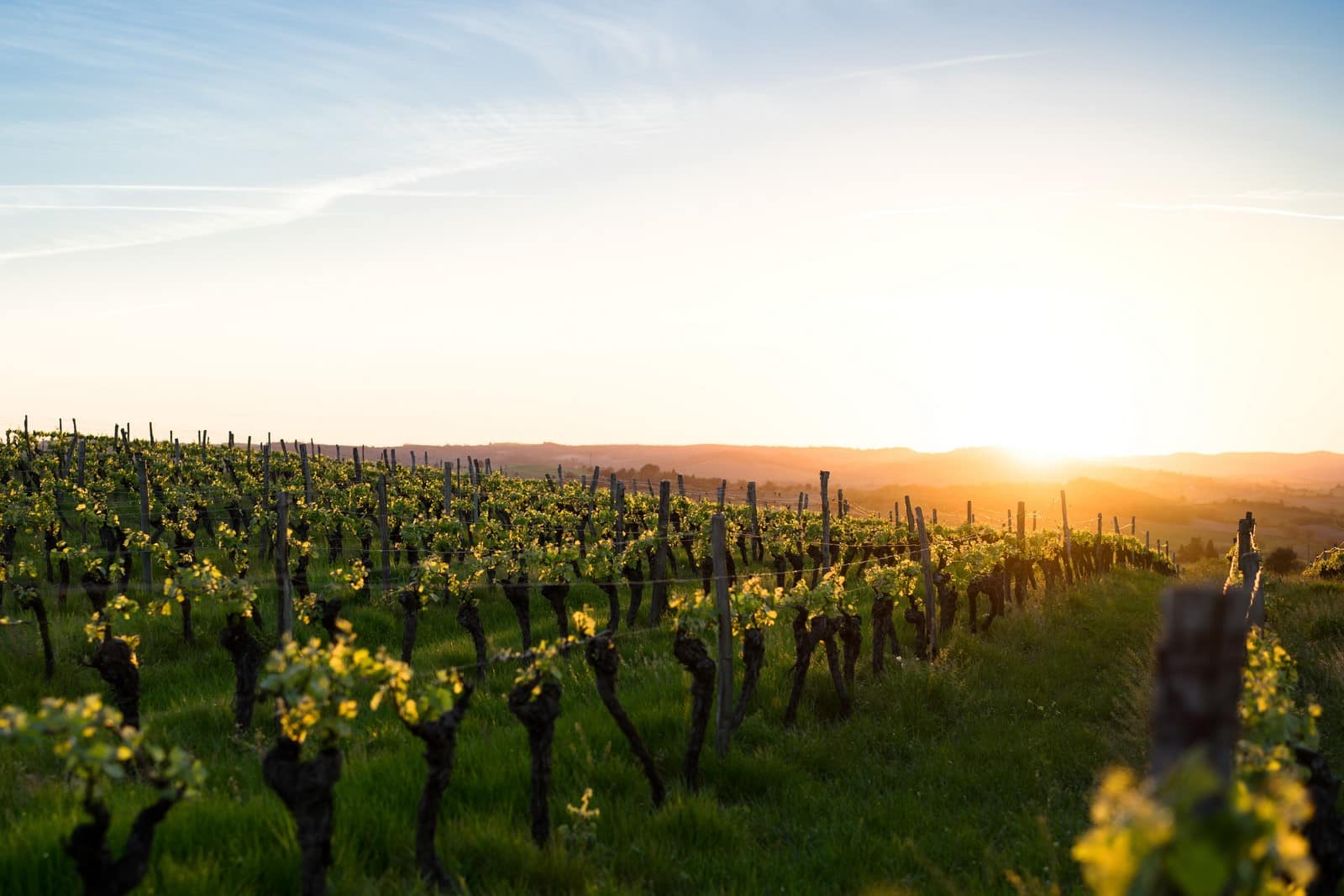 Erlebnistipps Okzitanien und Languedoc