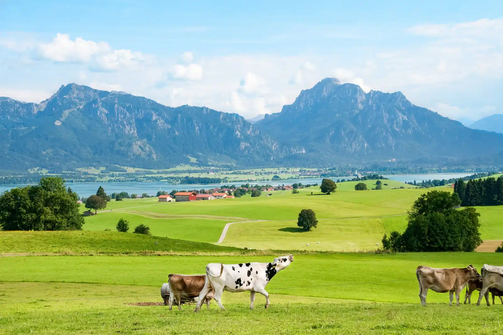 Bräuche, Events & Freizeittipps im Allgäu