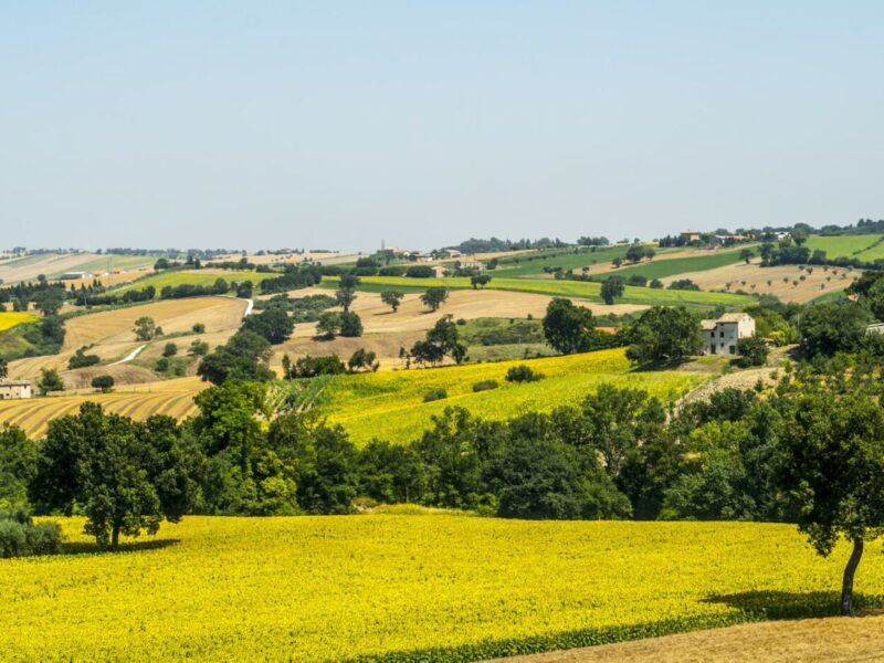 Die Marken, Italien im Kleinformat