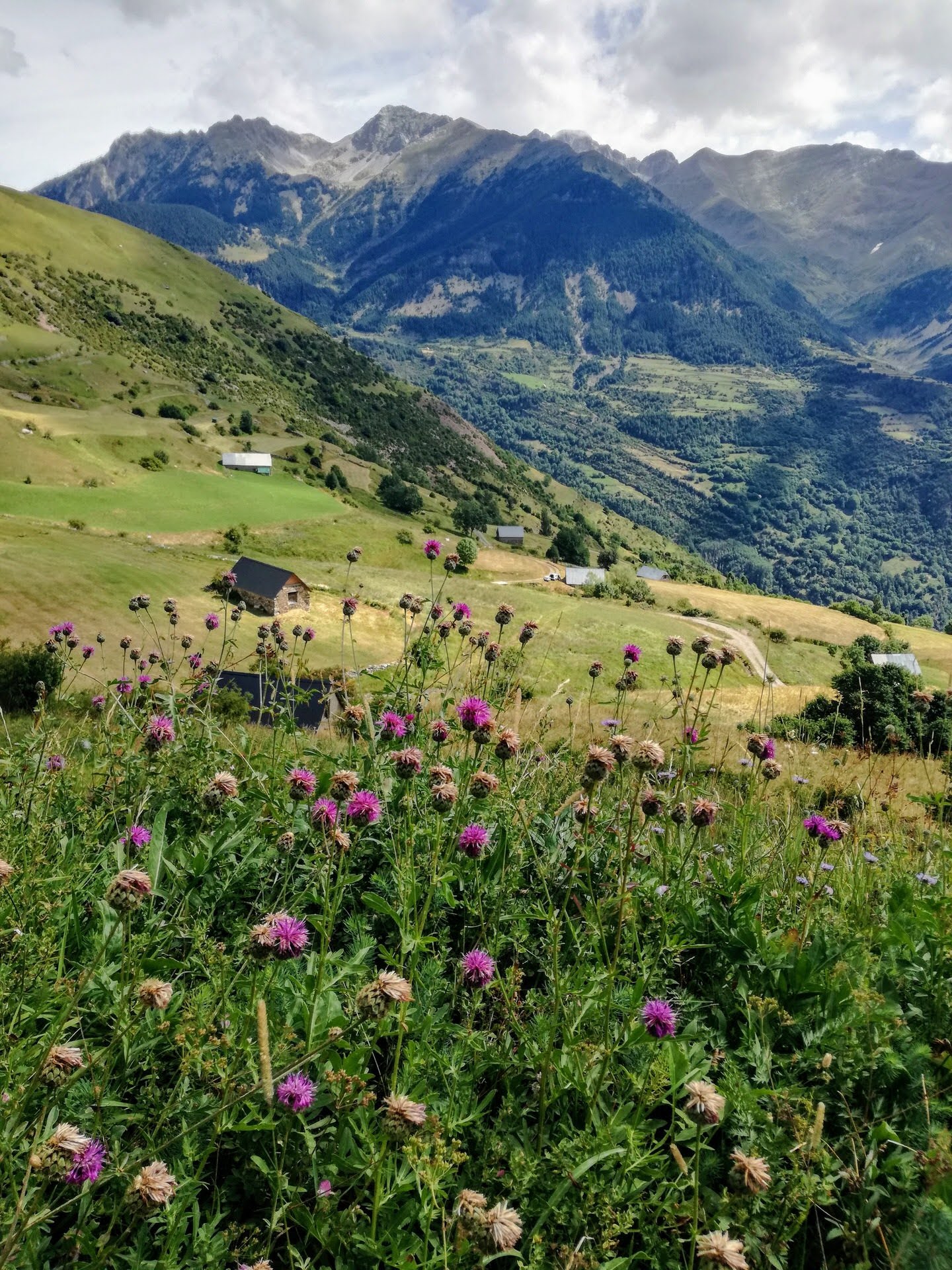 Erlebnistipps Okzitanien und Languedoc