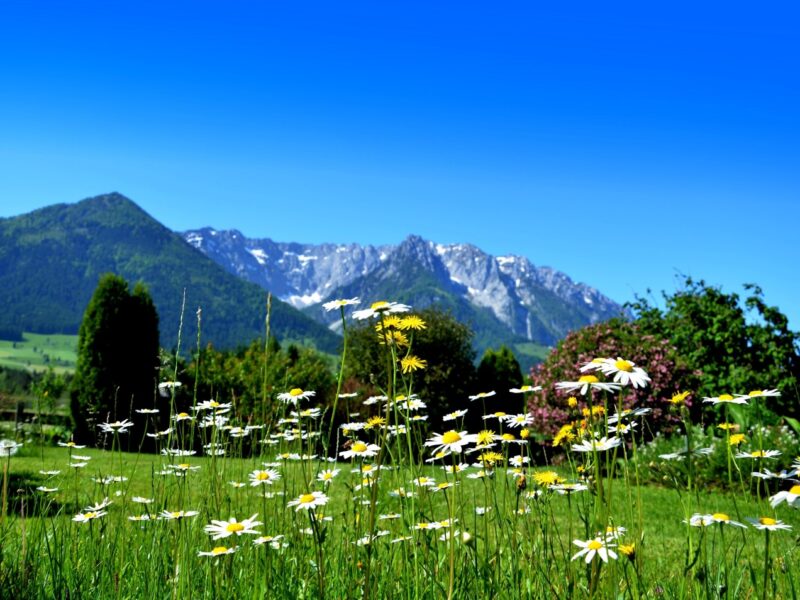 Sommer-Specials