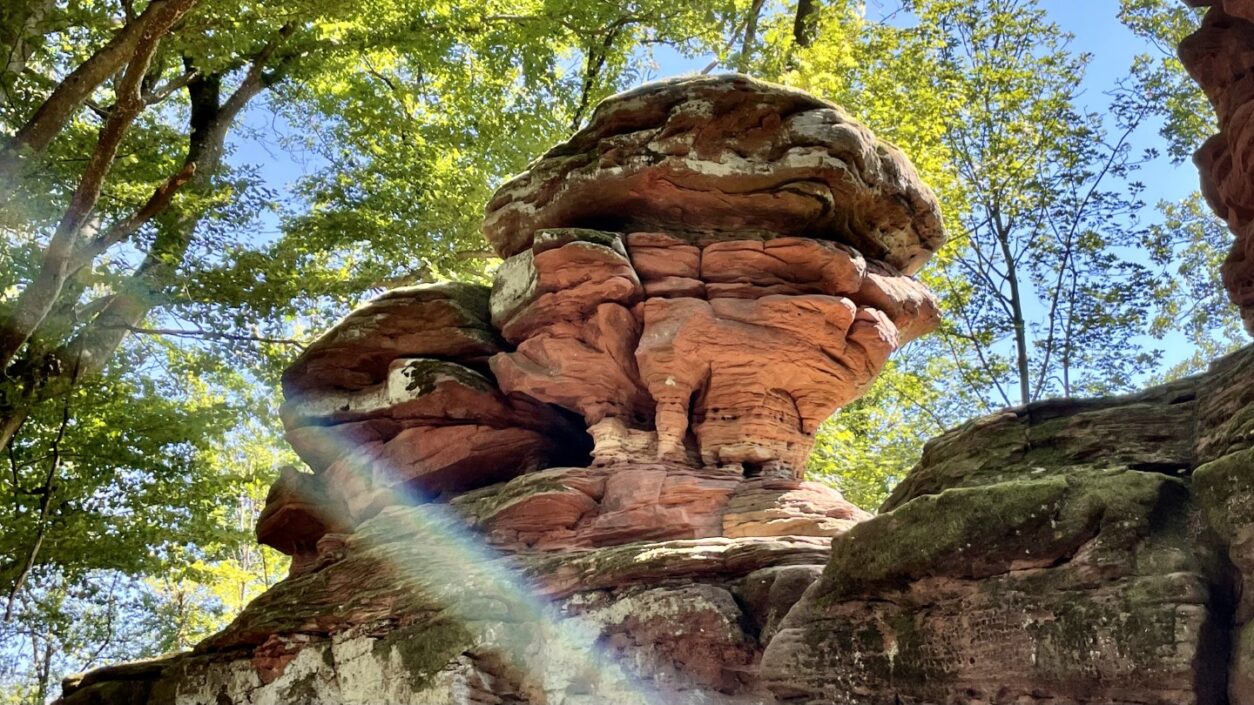 Geheimtipps Elsass - Natur