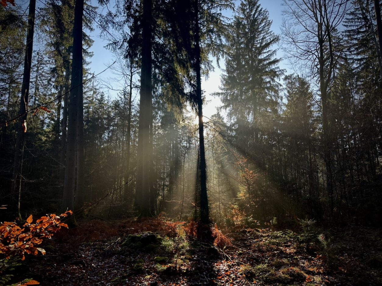 Geheimtipps Elsass - Natur