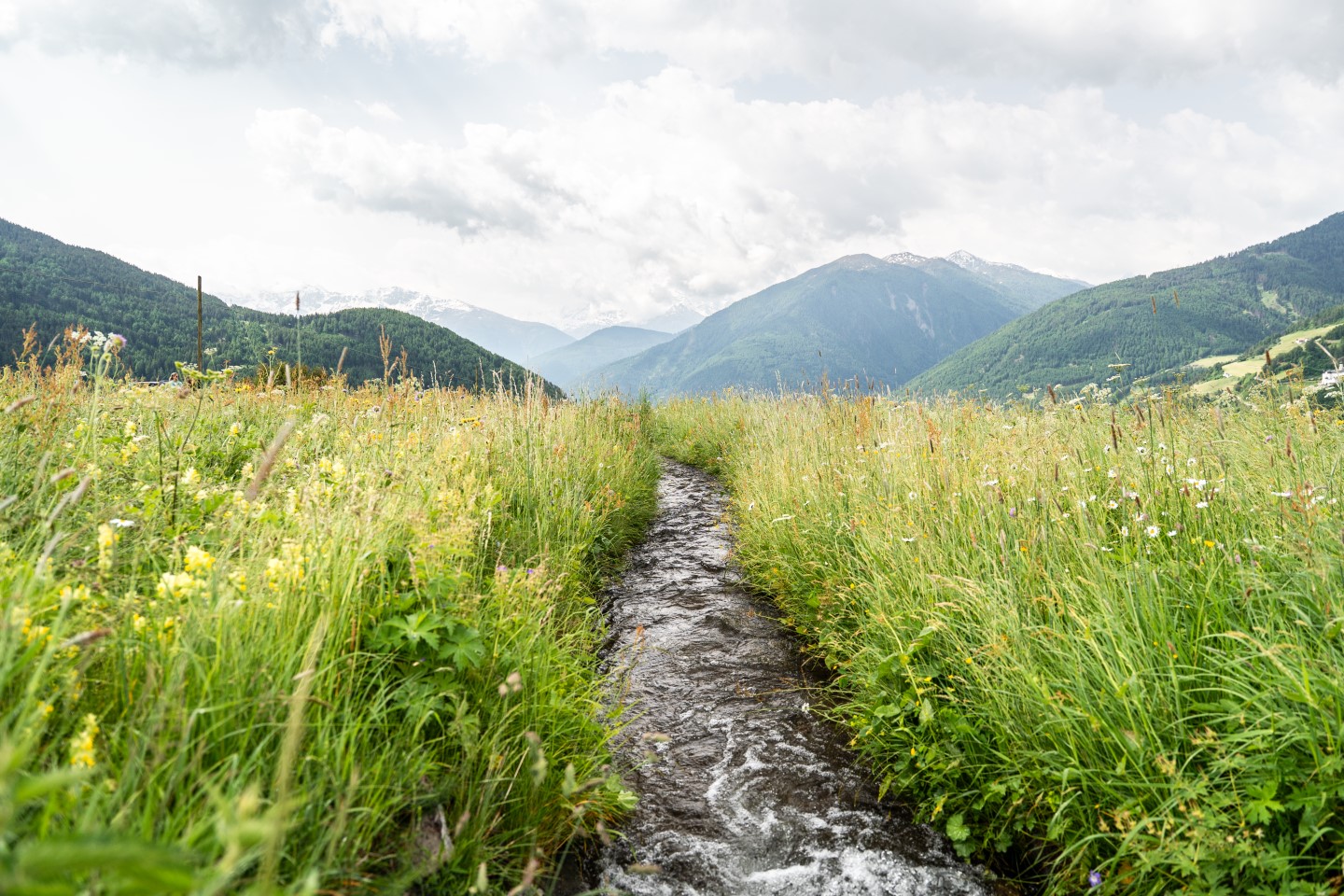 Geheimtipps Vinschgau - Waal auf der Malser Haide