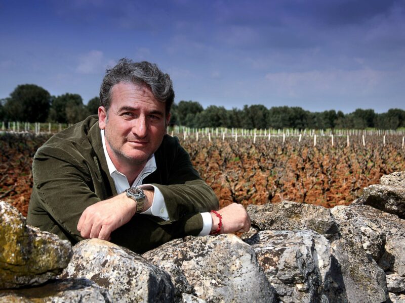 Primitivo, Negroamaro und Nero di Troia