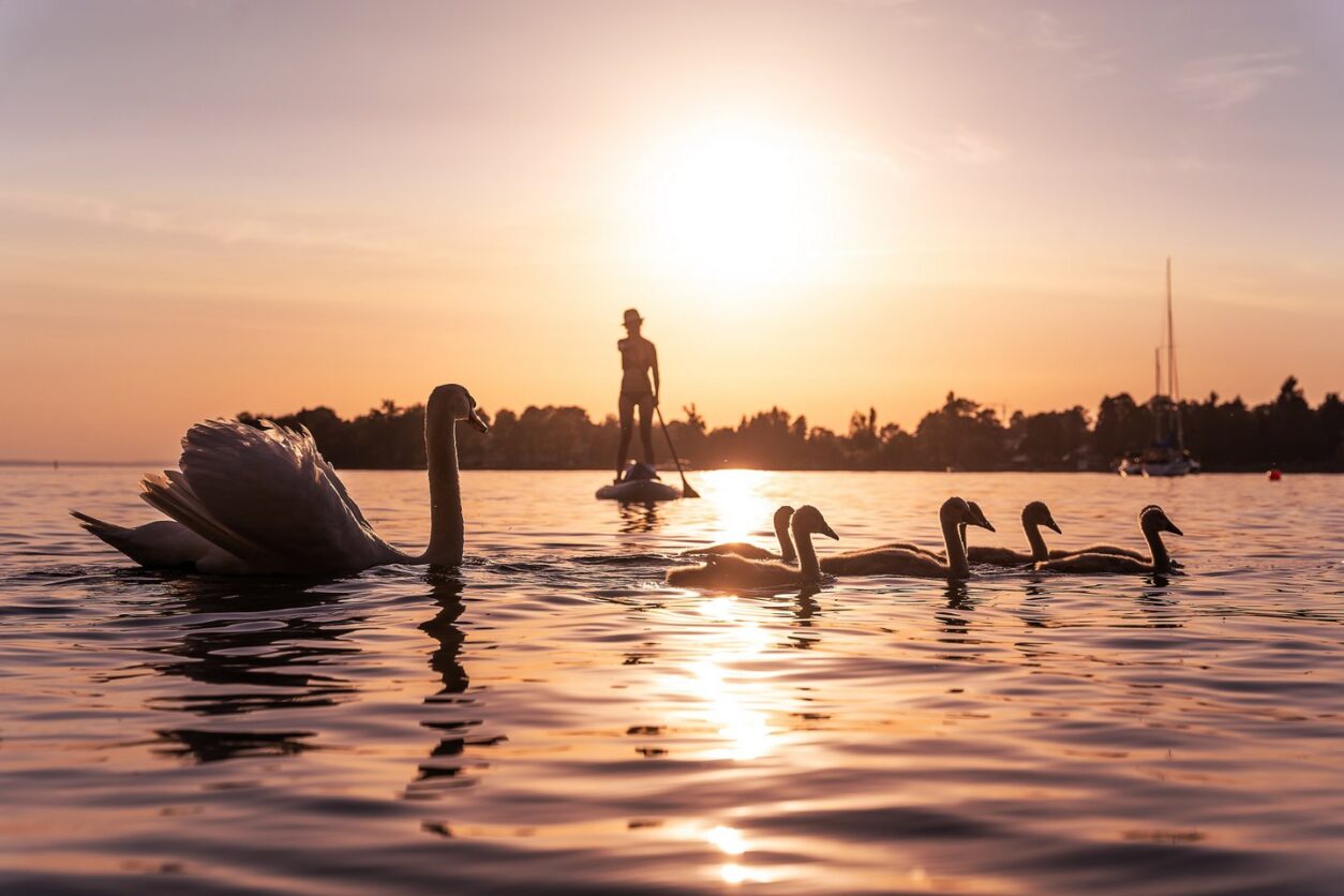 Hagnau am Bodensee Insider-Tipps