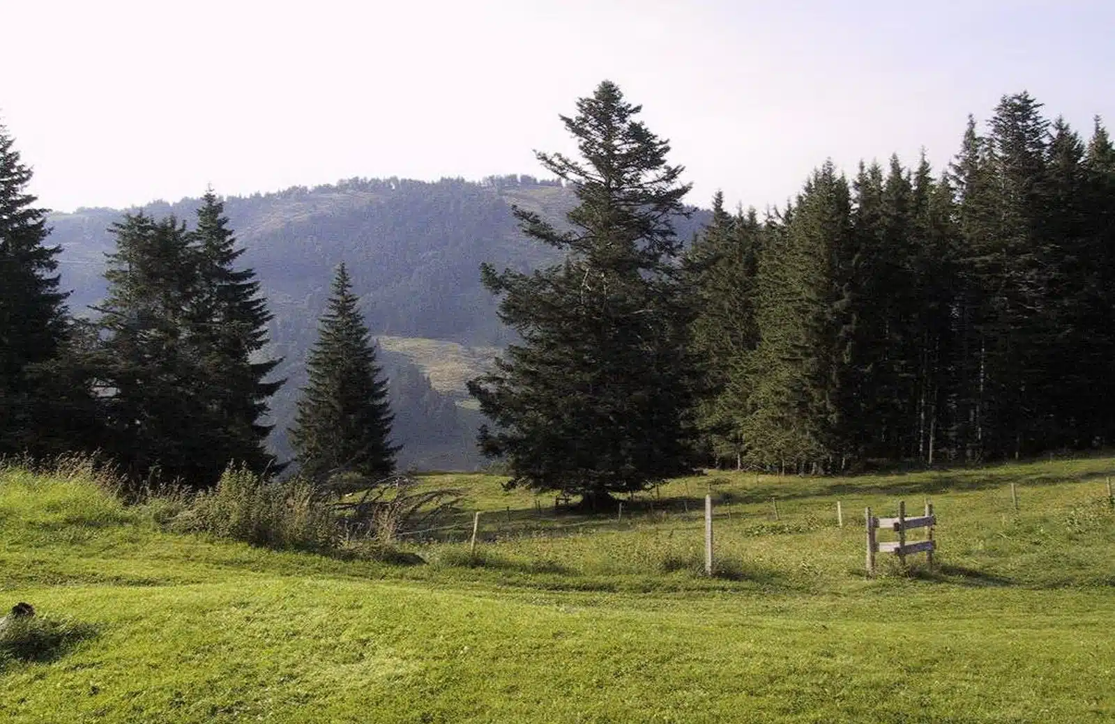 Bräuche, Events & Freizeittipps im Allgäu