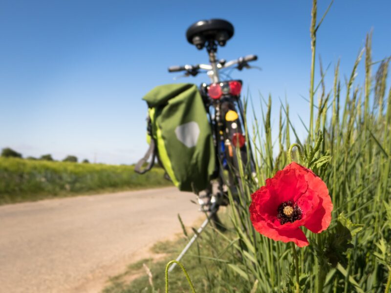 Unsere Top 5 Charmingplaces: Wandern, Biken und Golfen im Sommer 2026