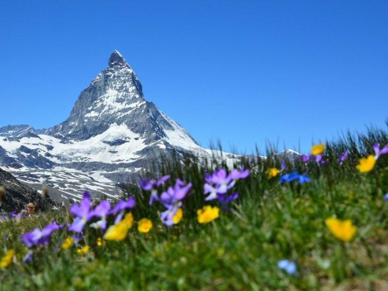 Über alle Berge: Top 5 Urlaubsunterkünfte für die Bergidylle 2024