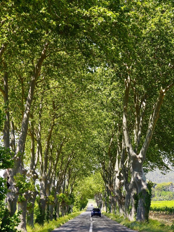 Erlebnistipps Okzitanien und Languedoc