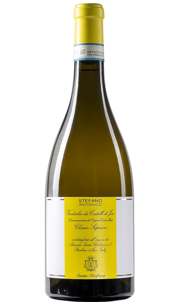 Verdicchio dei Castelli di Jesi