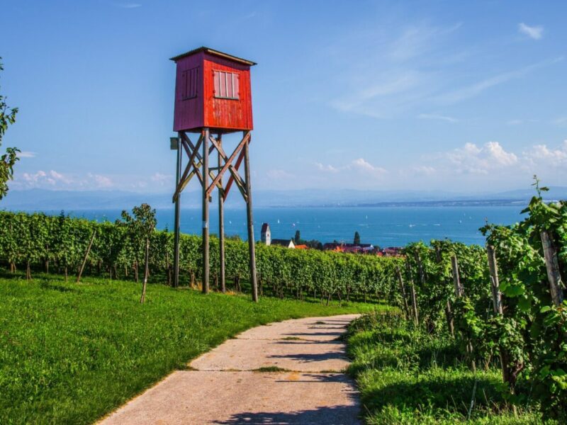 Eine Entdeckungstour am Bodensee
