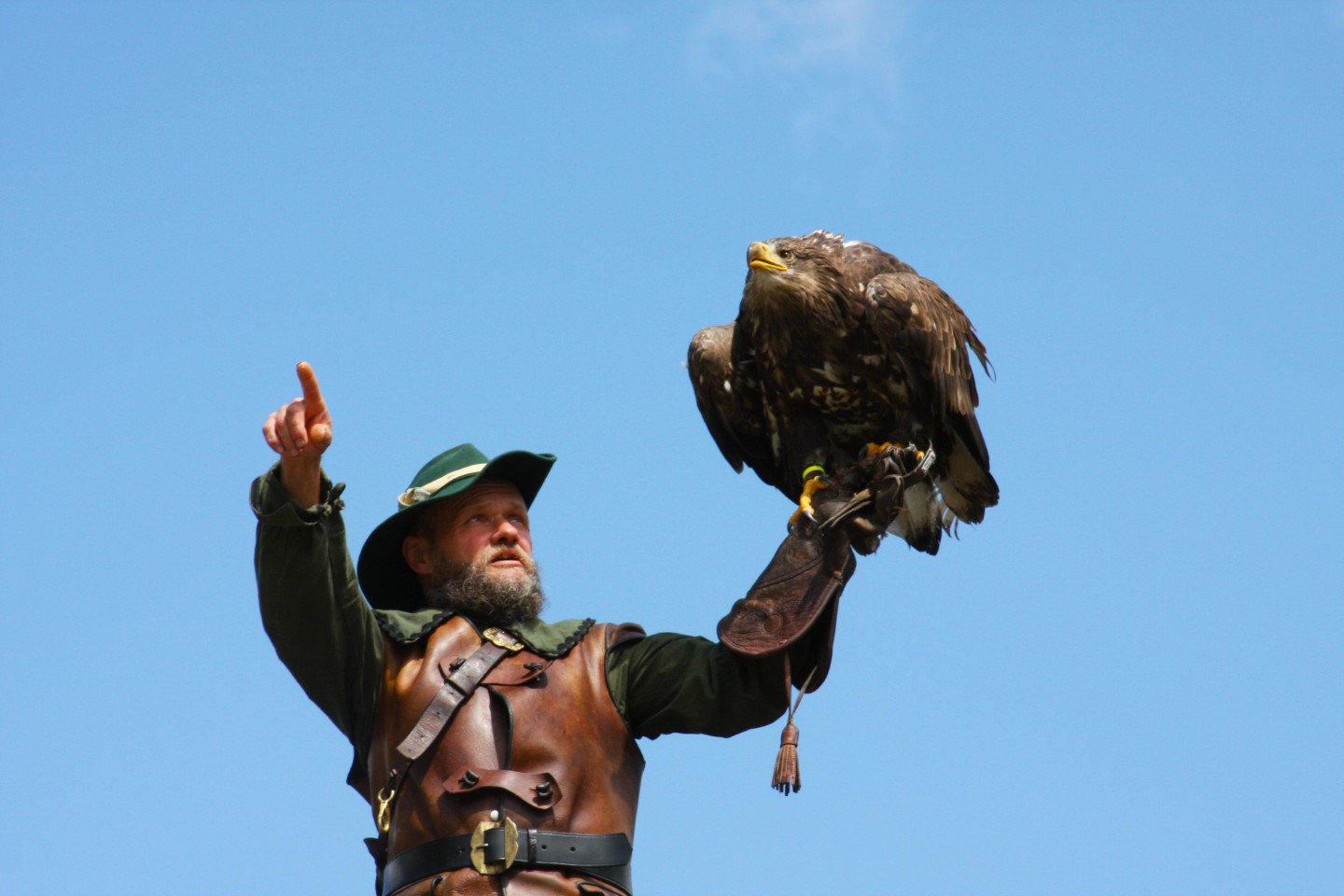 Ausflugstipps - Greifvogelschau auf Burg Hohenwerfen