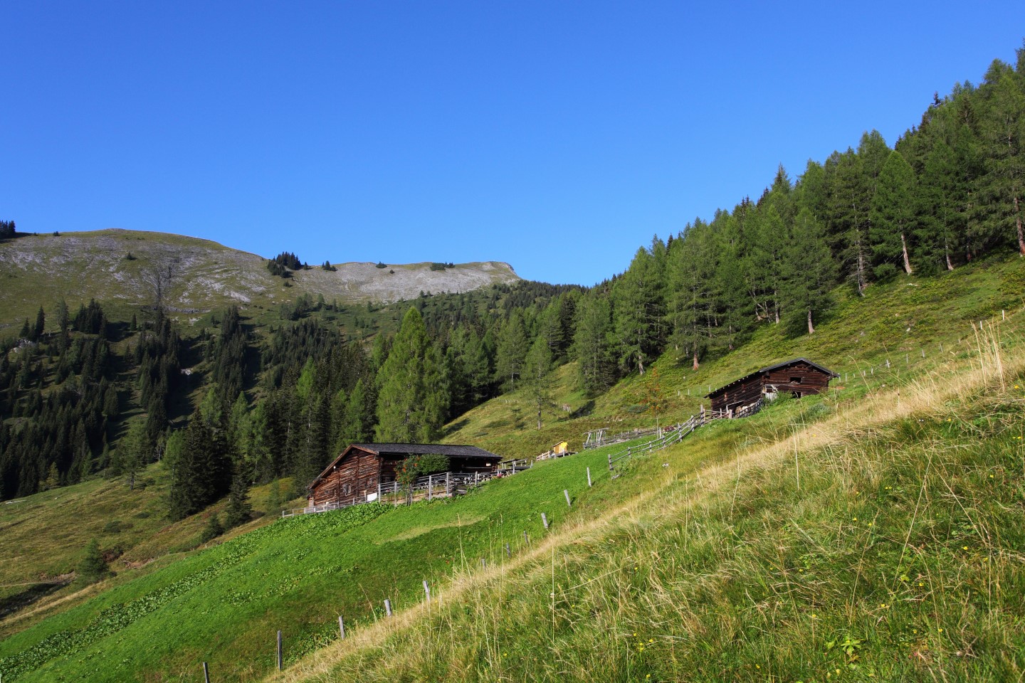 Ausflugstipps im Großarltal - Karseggalm und Almen