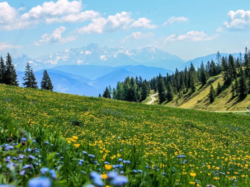 5 Rückzugsorte für eine Auszeit in den Bergen 2026