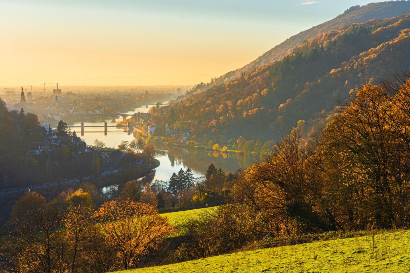 Der Rhein bei Heidelberg