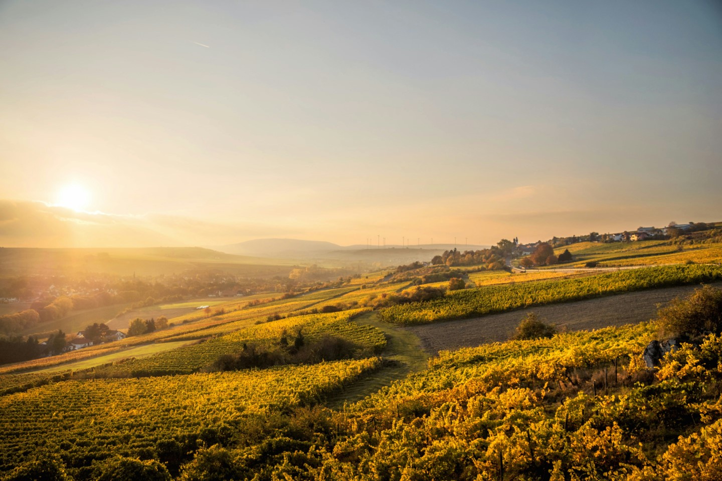 Die Pfalz - Panoramablick bei Sonnenuntergang