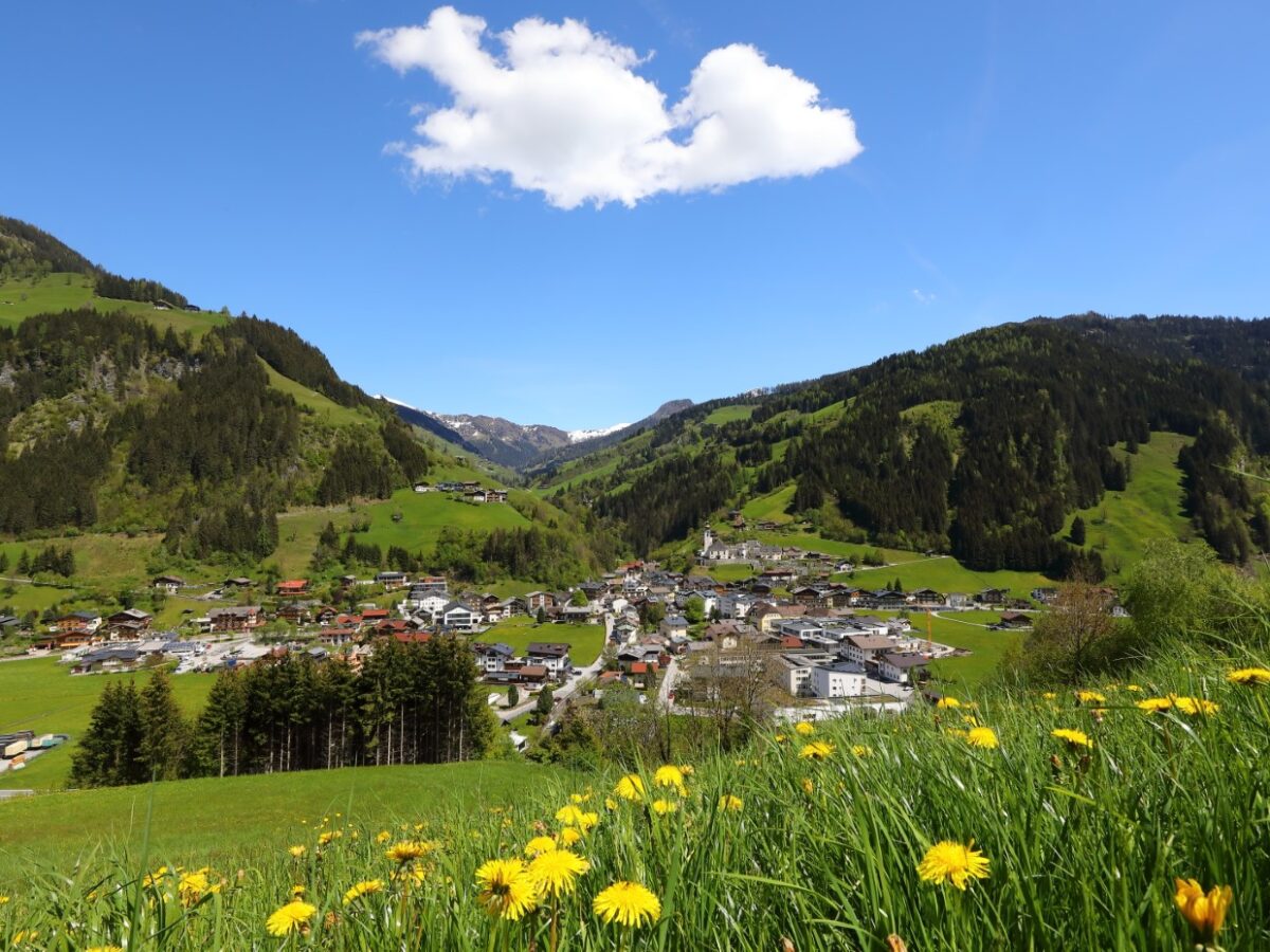 Großarltal Geheimtipps - Blick über Ort und Tal mit Almwiesen
