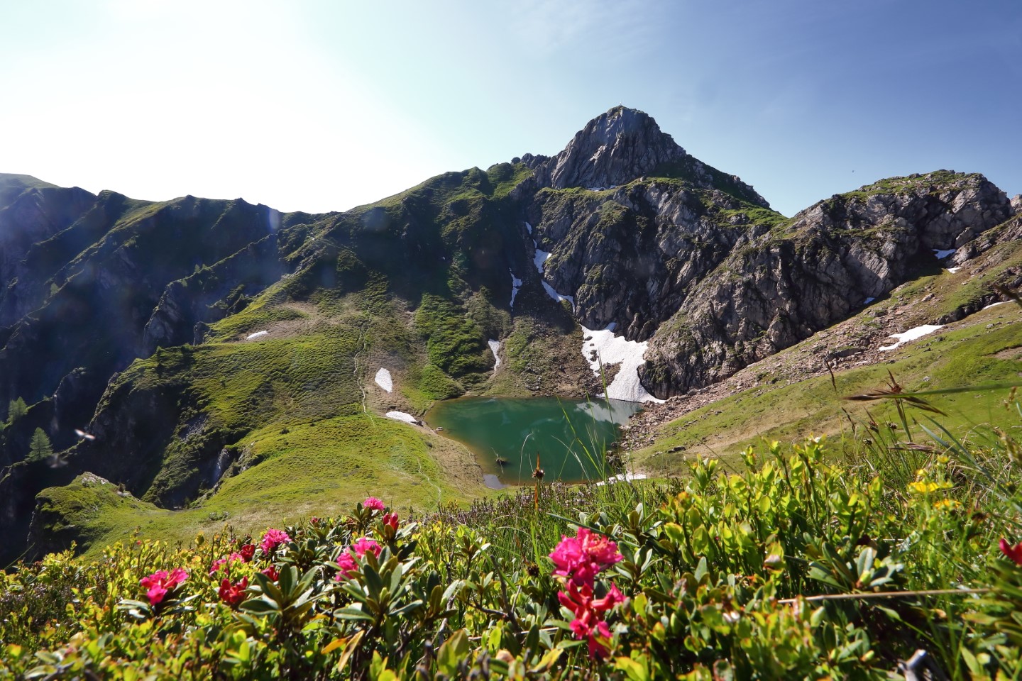 Großarltal Geheimtipps - Schuhflickersee mit Almrosen
