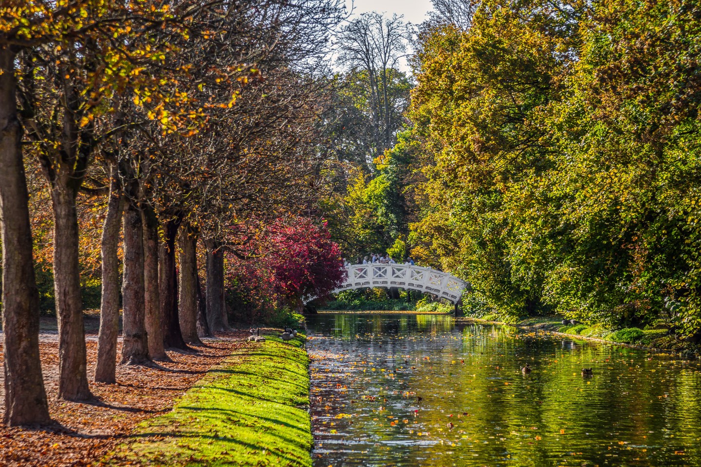 Schwetzingen Geheimtipps - Kanal und Alleen im Schlosspark