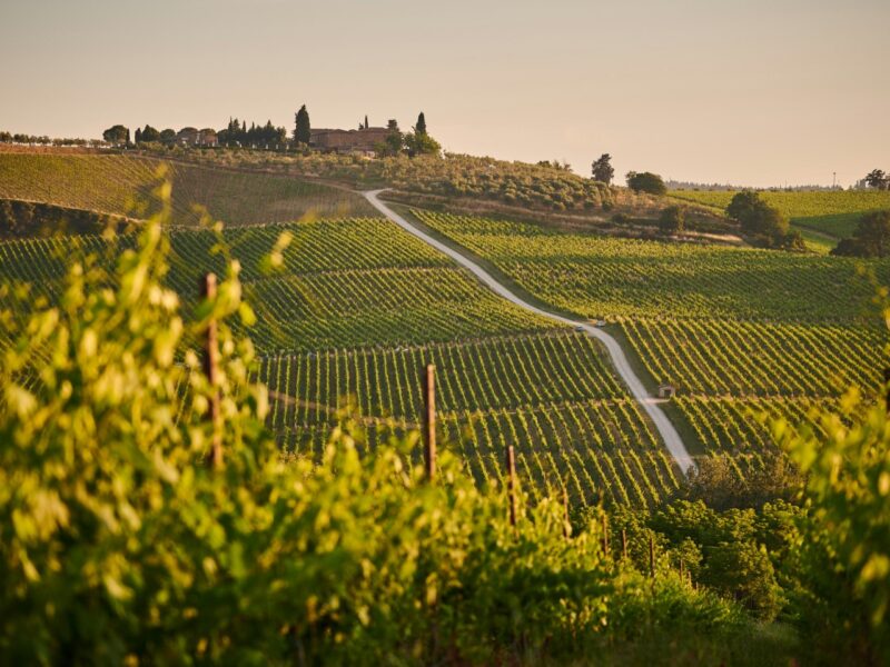 Top 5 Ferienwohnungen für den Herbst 2026 in Italien: Orte mit herausragender Wein- und Gastronomietradition